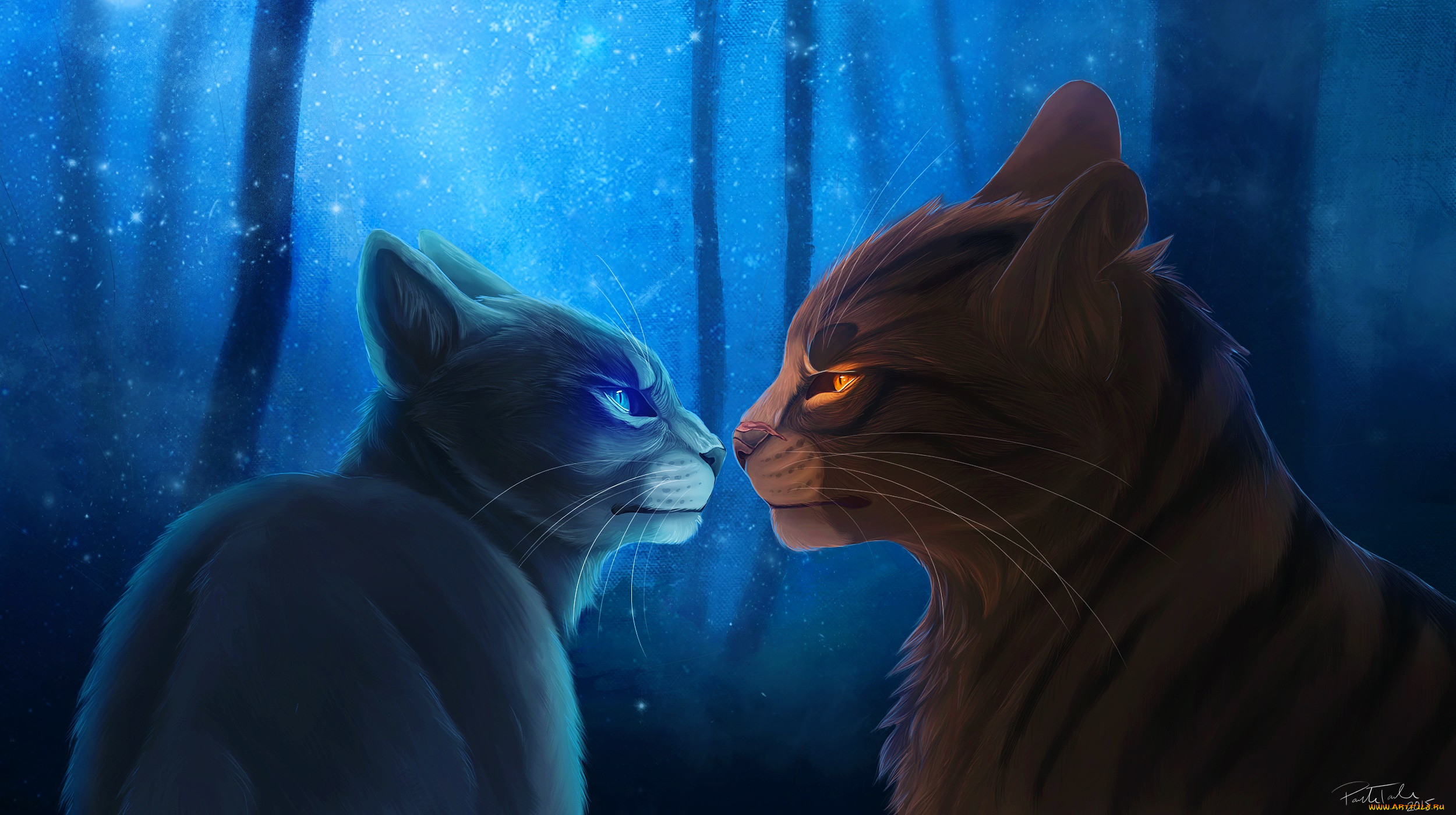 Коты Воители синяя звезда и Желудь